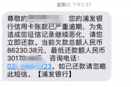 贵州贵州专业催债公司，专业催收